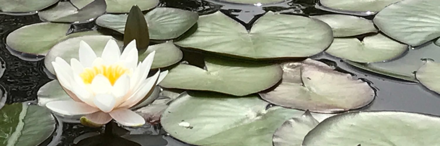 pineappler_yama's profile banner image