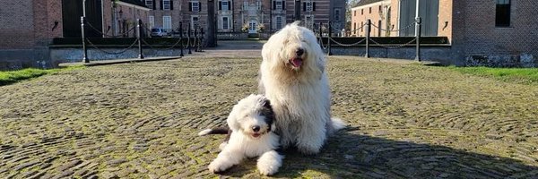 S2_166cm_S2 Profile Banner