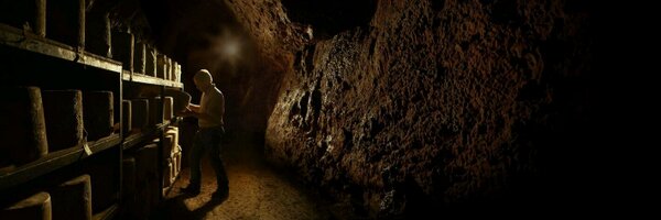 FordFarmCheese Profile Banner