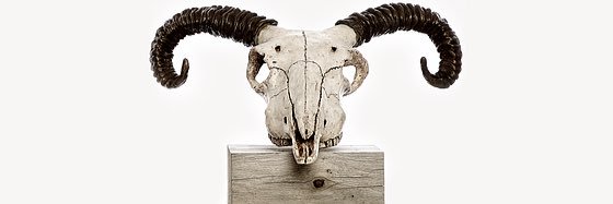 Jennie McCall banner