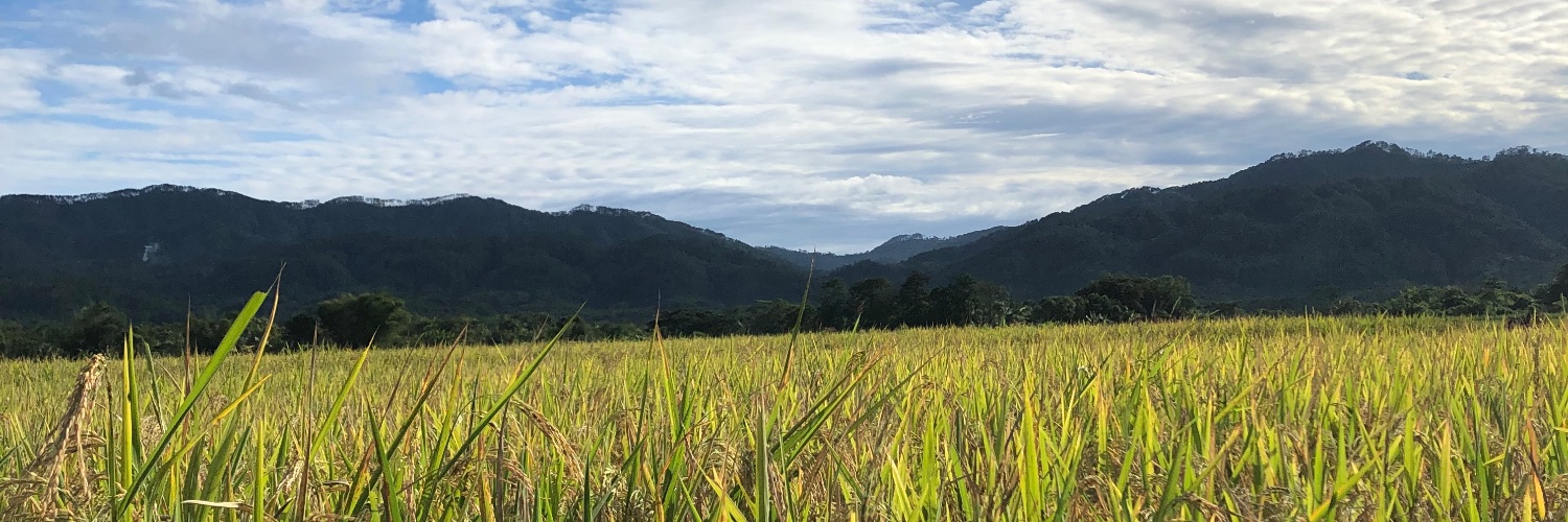 sumulya's profile banner image