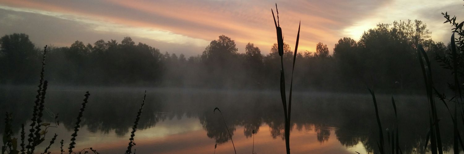 Toby_404's profile banner image