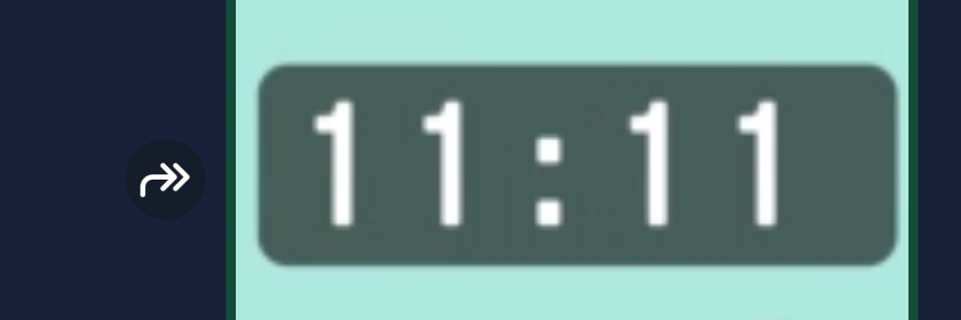 11$11 banner