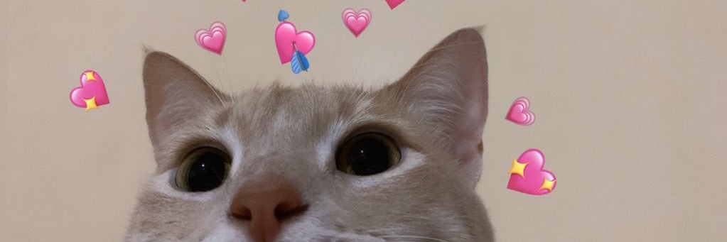 luisfernandoLR's profile banner image