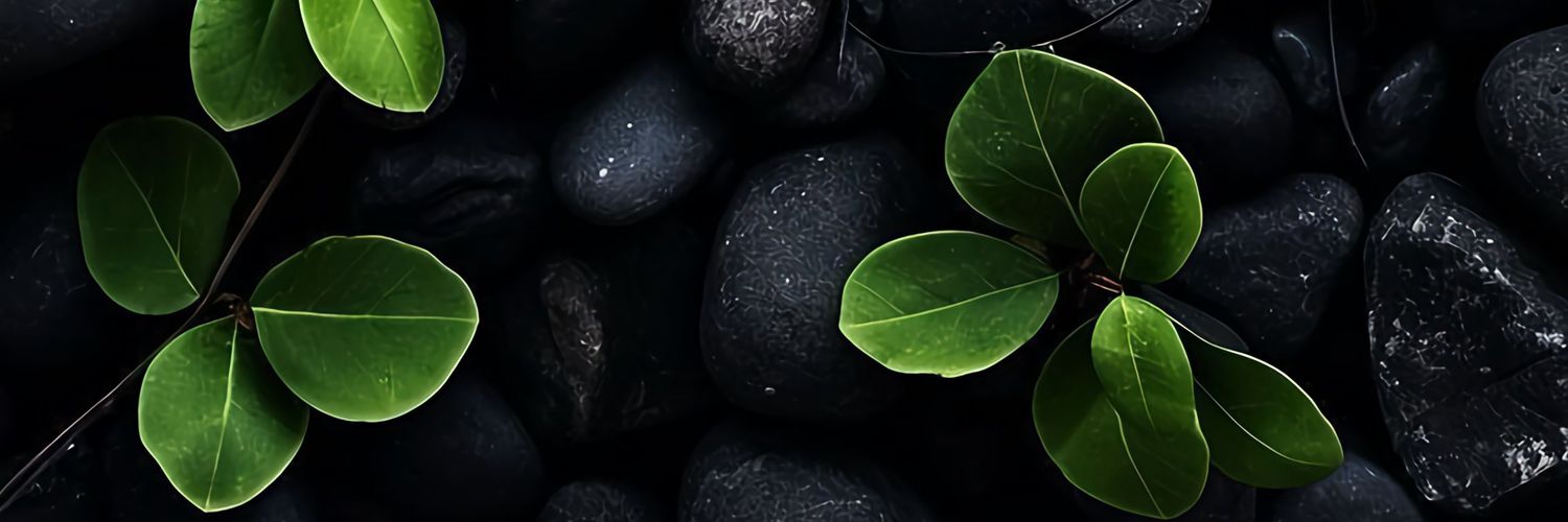 MichaelMandondo's profile banner image