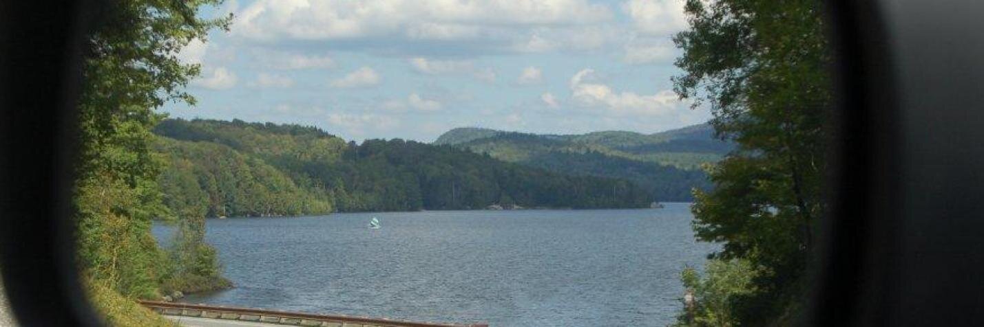CarolShepRealty's profile banner image