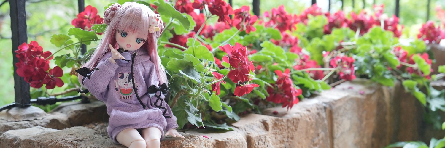 何縫ねの。 banner