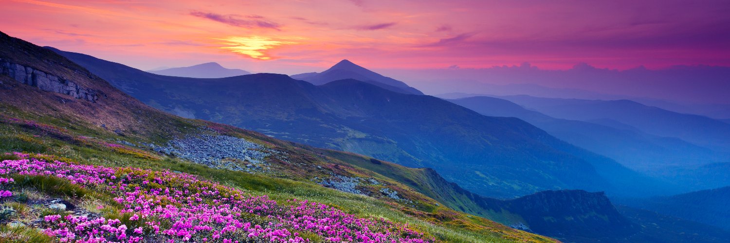 Canon USA Corp. banner