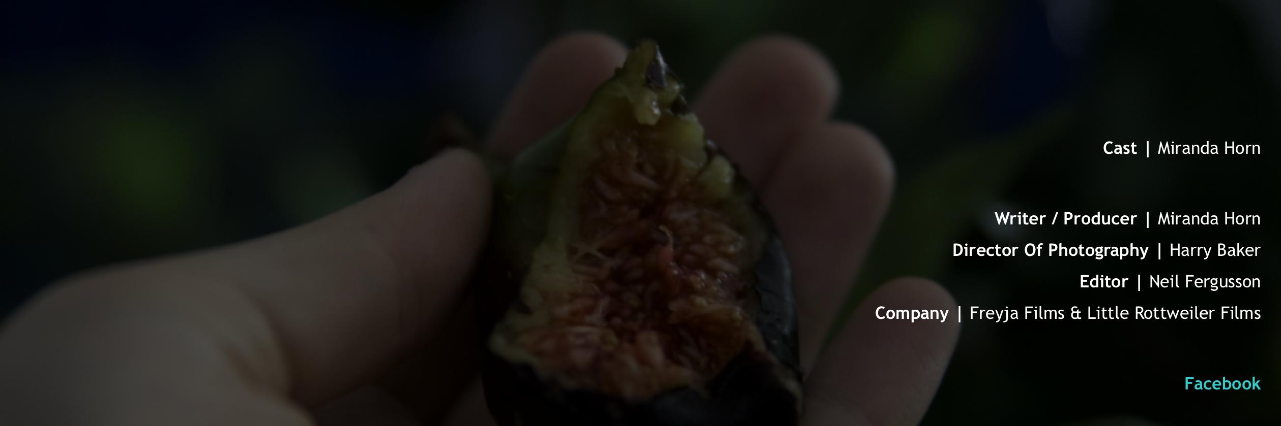 Little Rottweiler Films banner