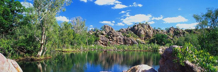 kakadu's profile banner image
