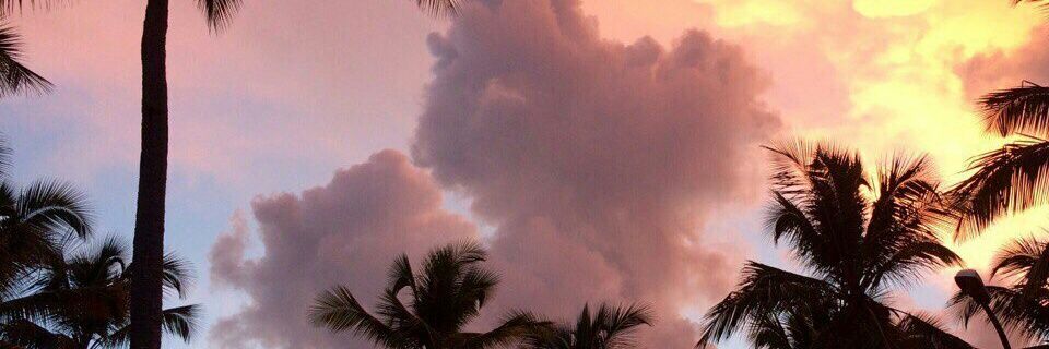 🌴T A N Y A🌴 banner