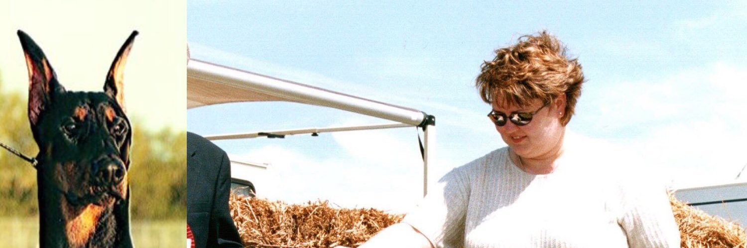 MacLeanTracy's profile banner image