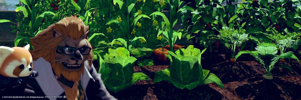 茶漬け@ほうじ茶派 banner