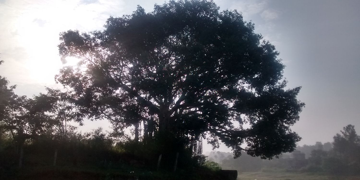 gandhidreams's profile banner image