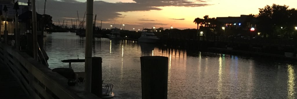 disawyer's profile banner image