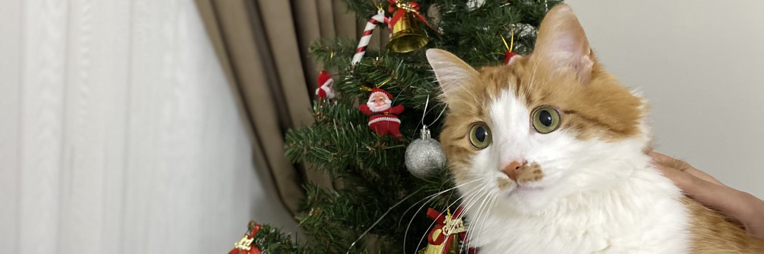 emineerbu's profile banner image