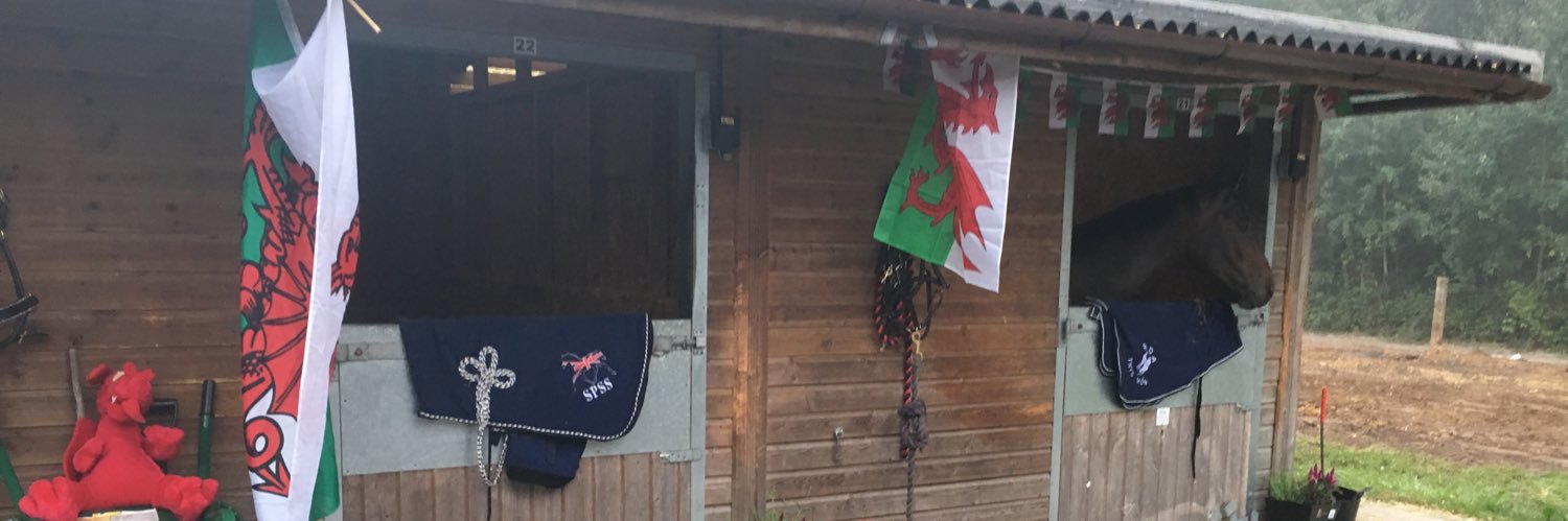RDA Ynys Mon banner