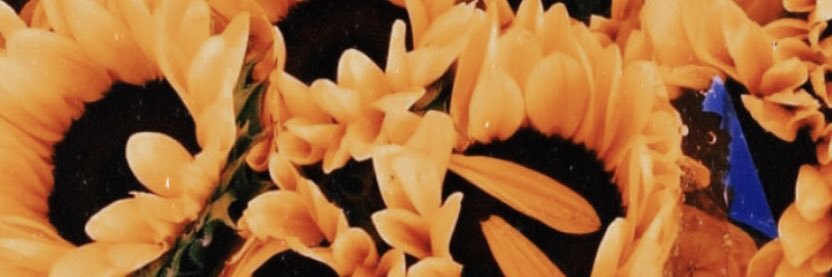 Breanne Fulling banner