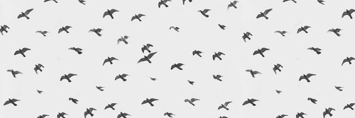 Candralaras's profile banner image