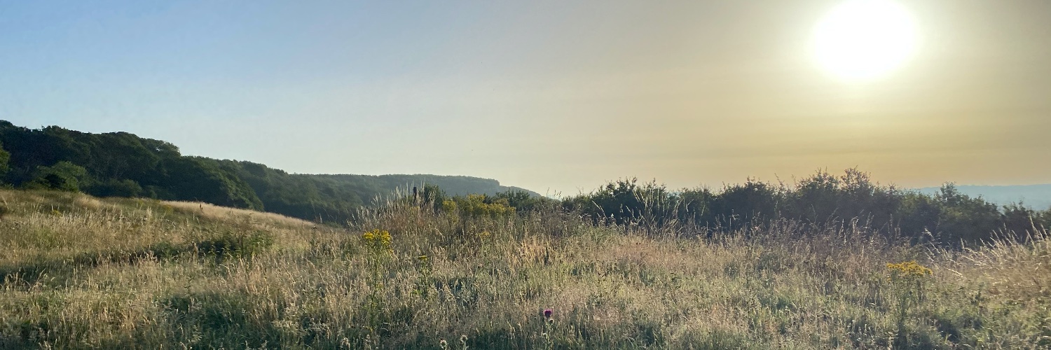 clizzieroberts's profile banner image