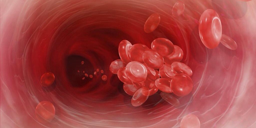 anablancoha's profile banner image