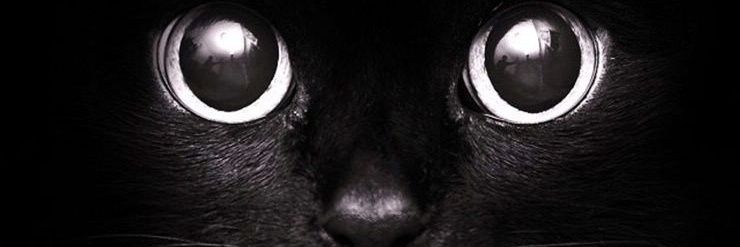 OusselShun's profile banner image
