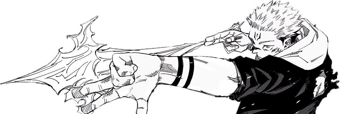 passvna banner