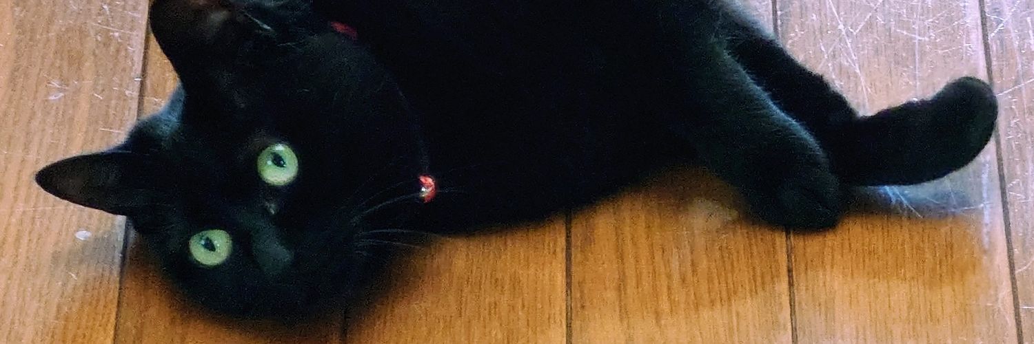Lockky's profile banner image
