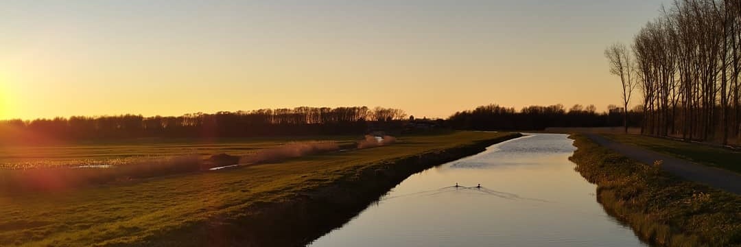 LandJolanda's profile banner image