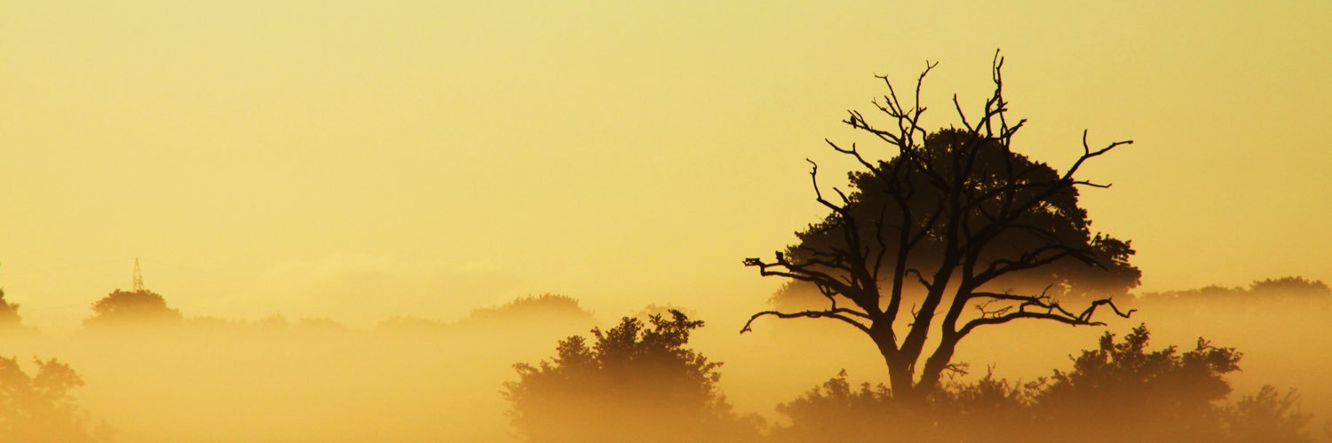 LassenEspen's profile banner image