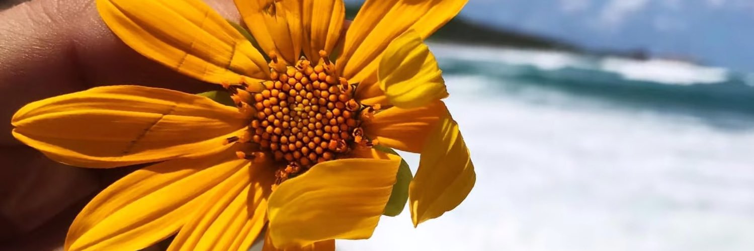 peericardo's profile banner image