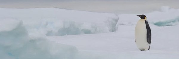 tech69life Profile Banner