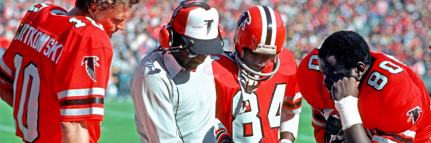 Falcons France banner