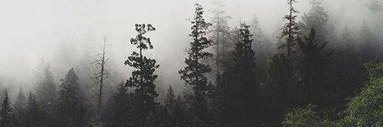 POTAT0_ES's profile banner image