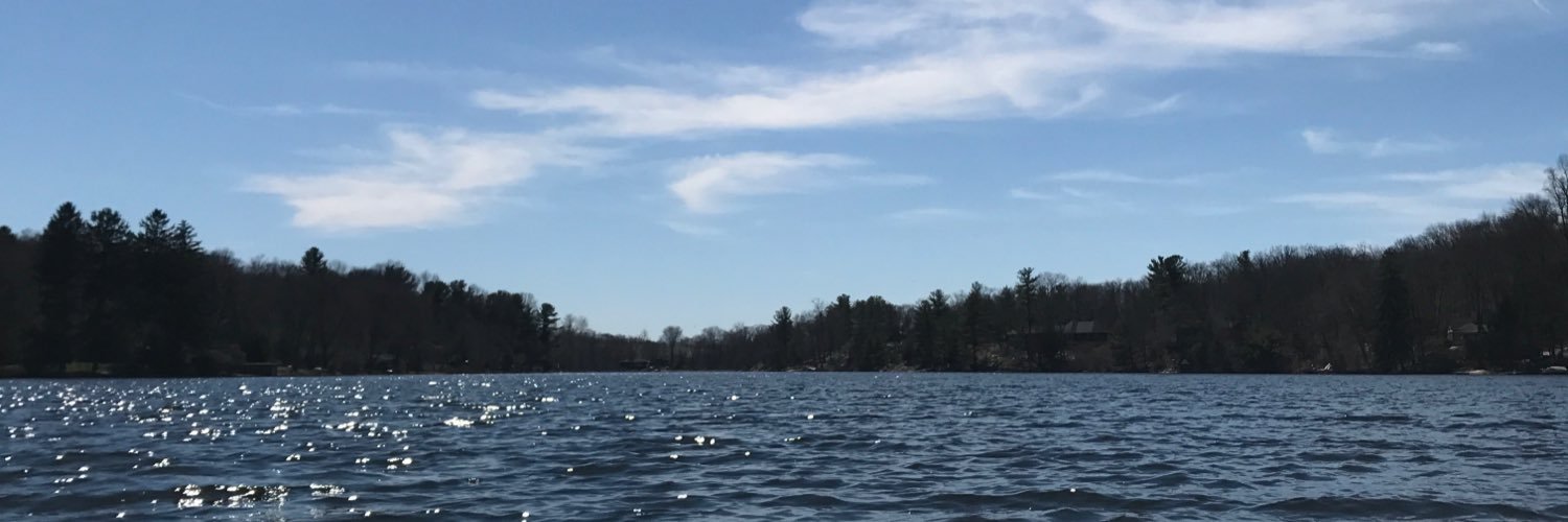 nickifinto's profile banner image