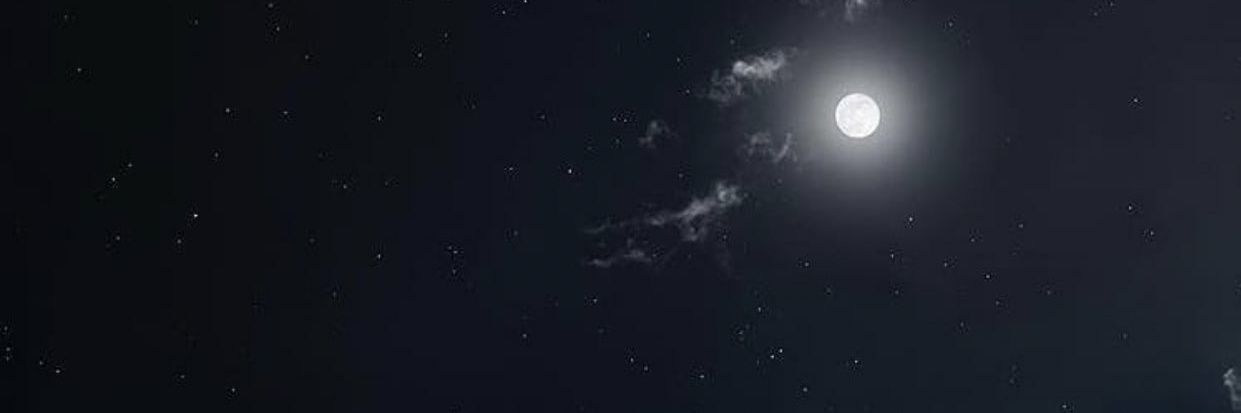 iampalitz's profile banner image