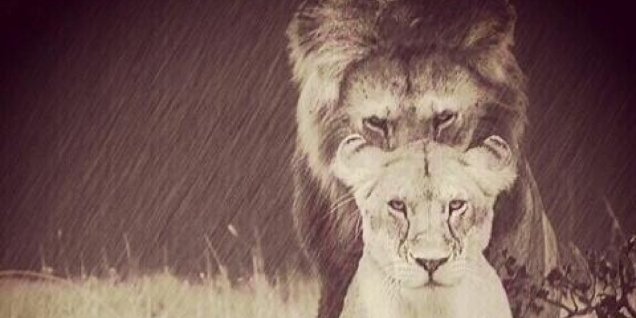 _ryanthompson1's profile banner image