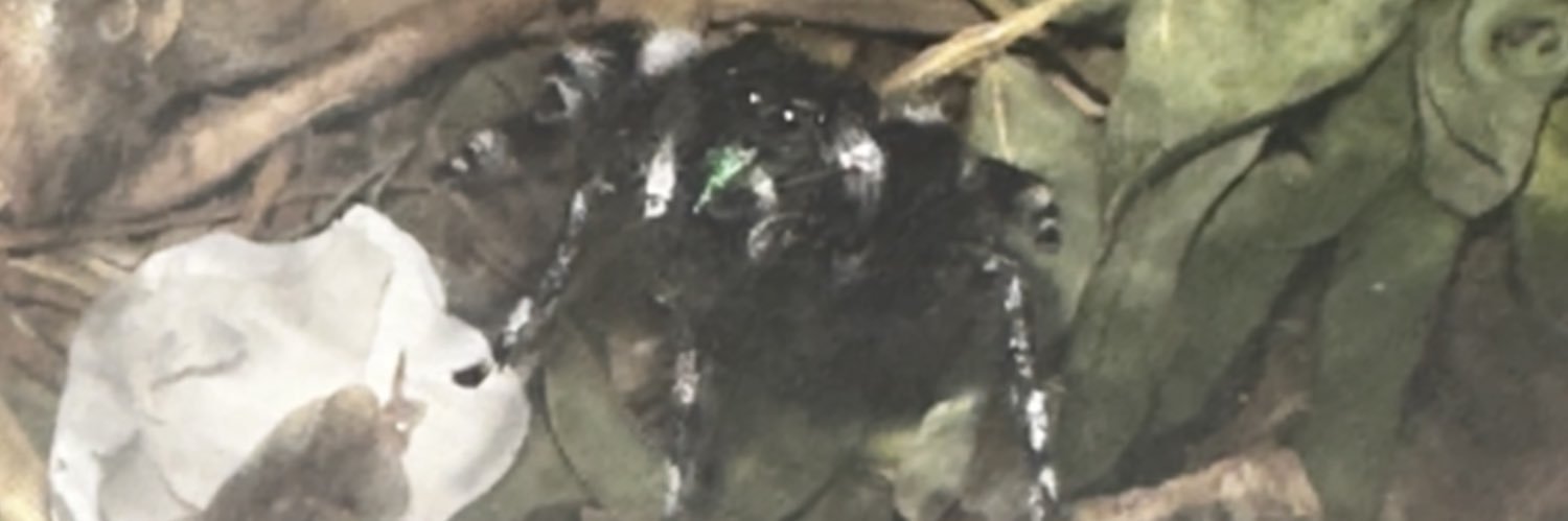 geee__nah__'s profile banner image