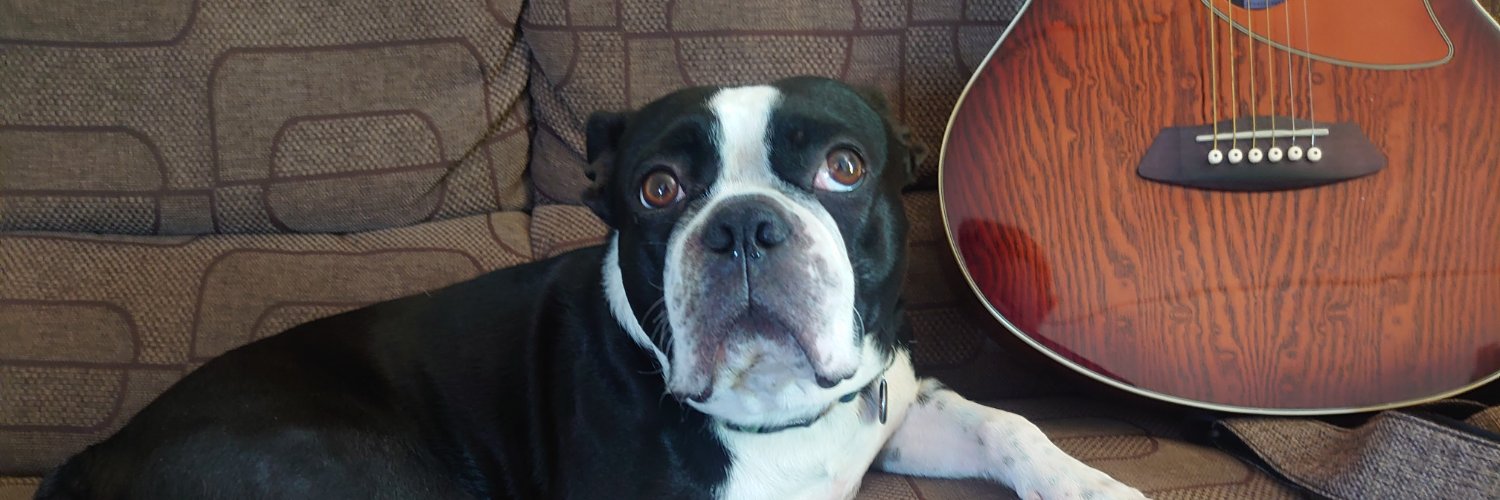 General Kwagga banner