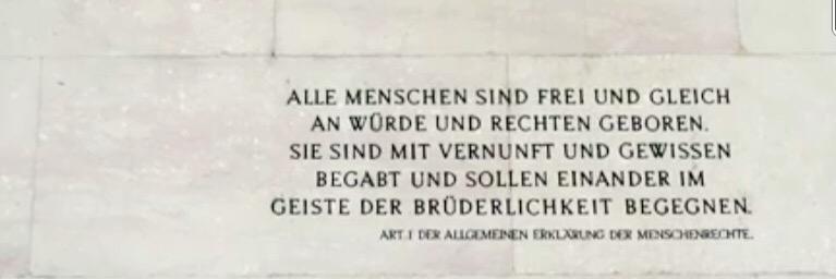 Judith Belfkih banner