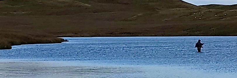 David Bradley banner