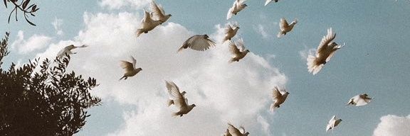 🌧 banner