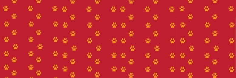 PuppyHaven's profile banner image