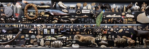 Senckenberg Profile Banner