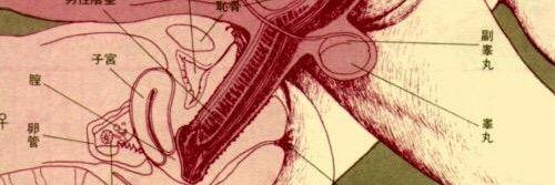 dadaalejandro's profile banner image