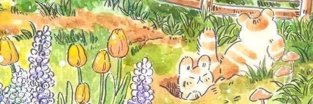 ain⋆✴︎˚｡⋆ banner