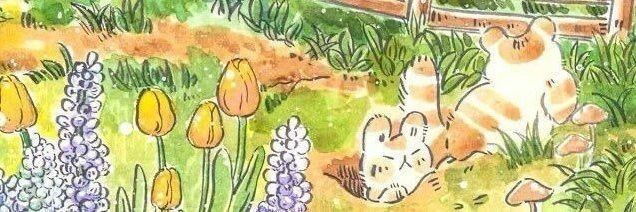 ain⋆✴︎˚｡⋆ banner