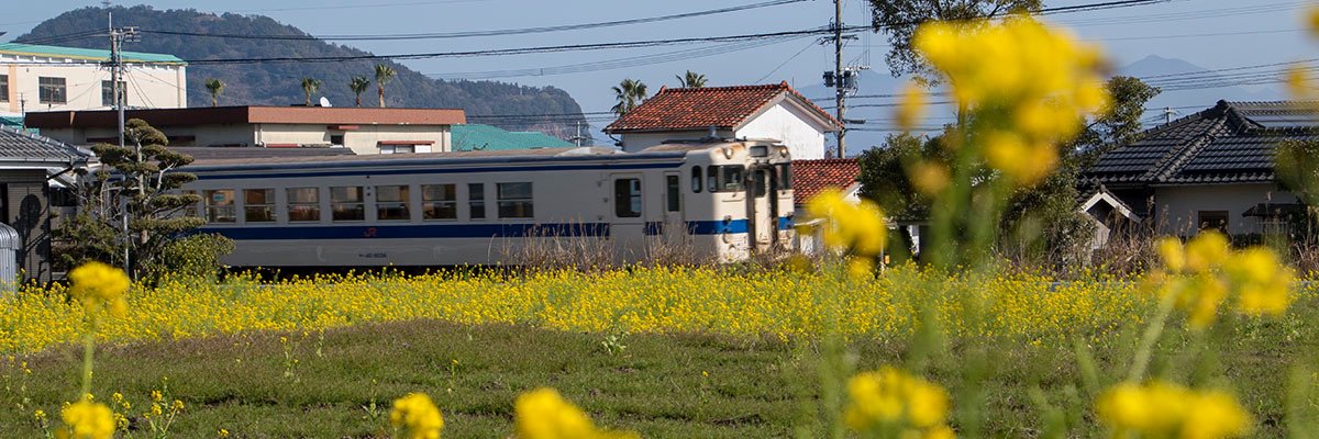 t_ryin's profile banner image