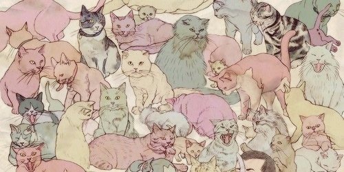 kellolo's profile banner image