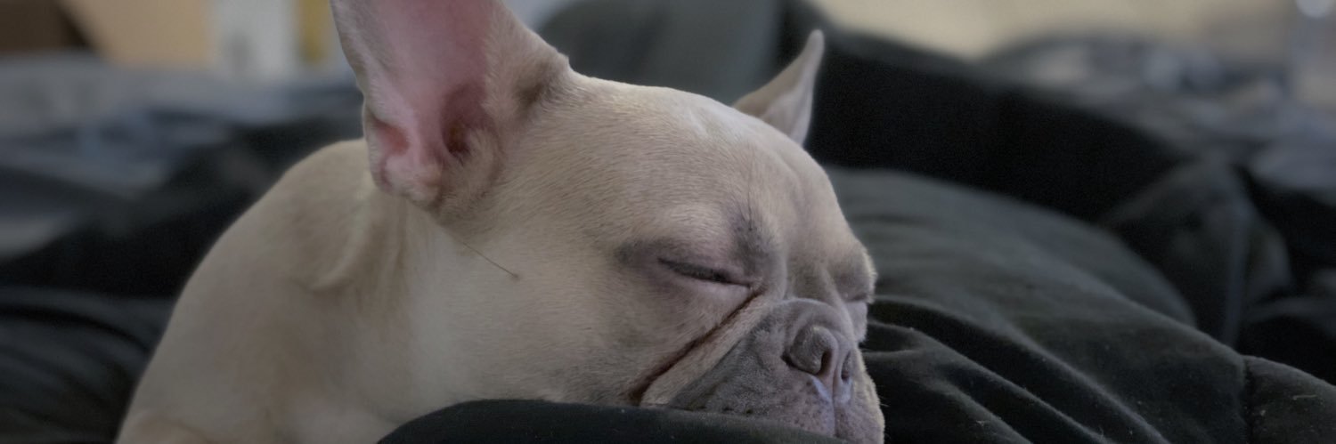 ralf out tha nawf banner